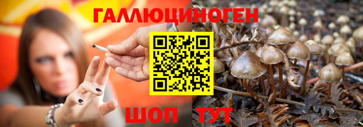Галлюциногенные грибы Magic Shrooms  Вход с VPN  Астрахань 