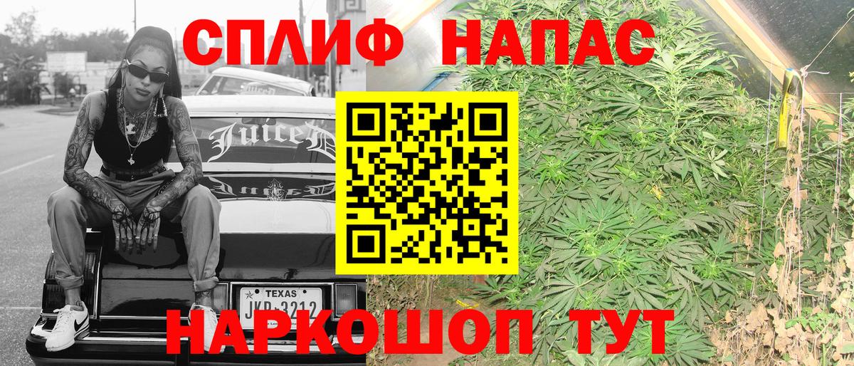 Бошки марихуана ГИДРОПОН Астрахань
